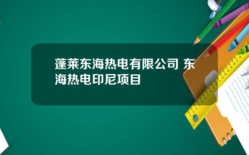 蓬莱东海热电有限公司 东海热电印尼项目